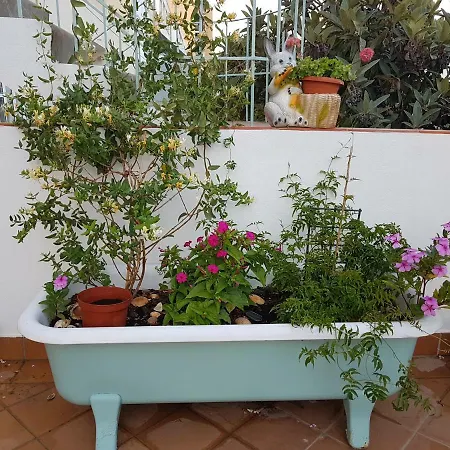 Lemonhouse District de Faro