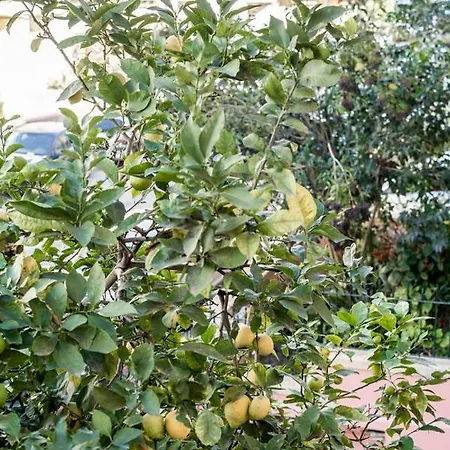 Lemonhouse Apartamento